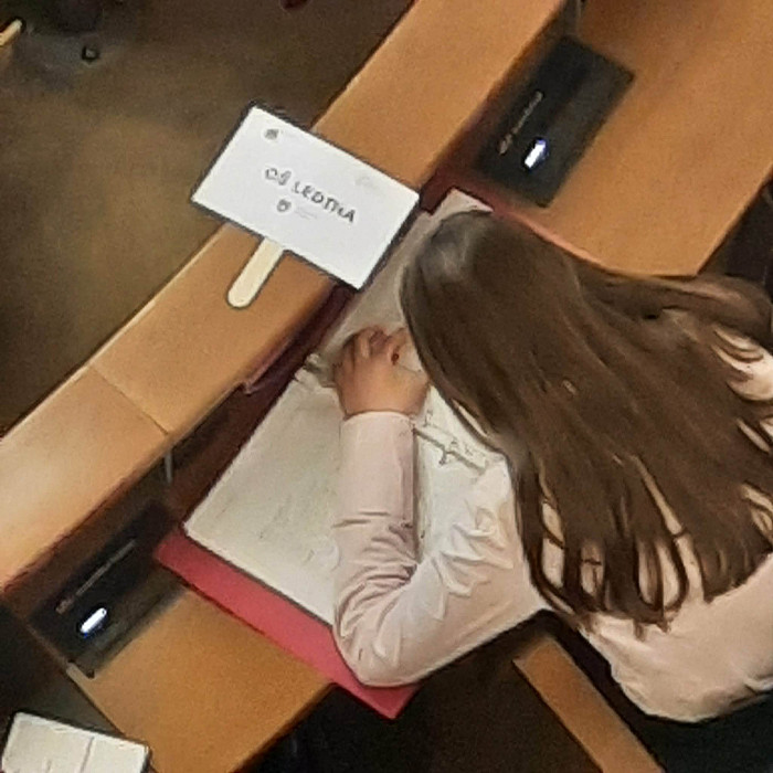 Ledinska parlamentarka Emma Faganel na 36. MOP-u